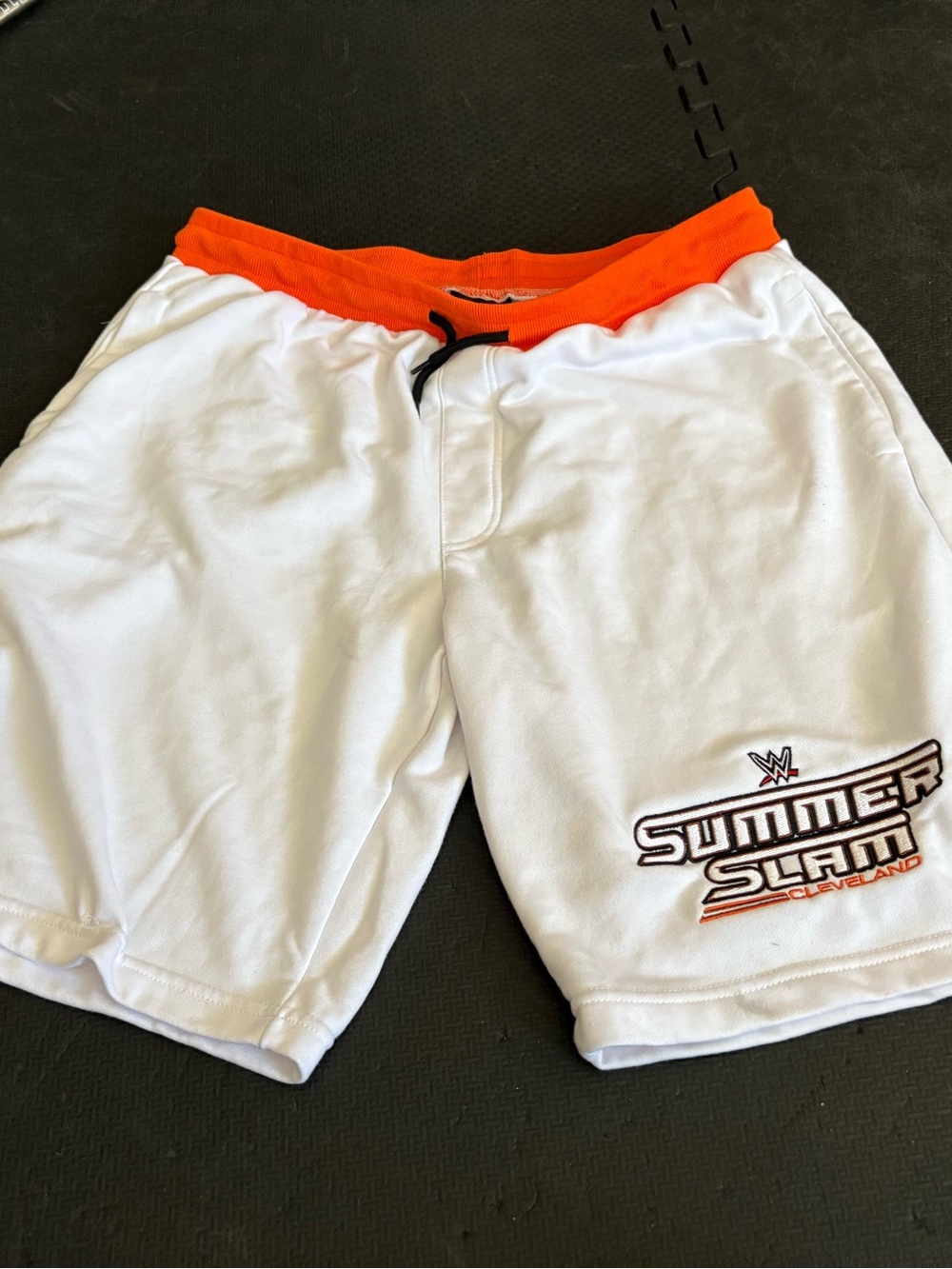 officially licensed WWE SummerSlam 2024 Cleveland Sweatshorts XXL